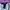 Forever 21 Skater Sportswear Tracksuit Pria purple white photo 7