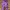Forever 21 Skater Sportswear Tracksuit Pria Purple White