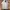 Jeep Streetwear Sportswear Sweater Pria white photo 2