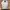 Jeep Streetwear Sportswear Sweater Pria white photo 1