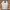 Jeep Streetwear Sportswear Sweater Pria White