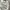 Jeep Streetwear Sportswear Sweater Pria white photo 3