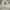 Wike & Lon Vintage Streetwear Windbreaker Pria white photo 4