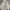 Wike & Lon Vintage Streetwear Windbreaker Pria white photo 2