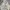 Wike & Lon Vintage Streetwear Windbreaker Pria White