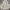 Wike & Lon Vintage Streetwear Windbreaker Pria white photo 1
