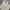 Wike & Lon Vintage Streetwear Windbreaker Pria White