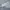 H&M Casual Sweater Wanita gray photo 3