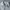 H&M Casual Sweater Wanita gray photo 2