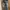 Sage Vintage Jeans Pria white gray photo 2