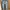 Sage Vintage Jeans Pria white gray photo 3