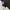 Asics Sportswear Sneakers Pria black photo 1