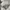Polham Minimalist Casual Formal shirt Pria gray photo 8