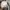 Polham Minimalist Casual Formal shirt Pria gray photo 6