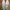 Louis Vuitton Luxury Loafer Wanita White