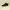 Timberland Streetwear Sportswear Boots Pria black photo 1