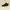 Timberland Streetwear Sportswear Boots Pria Black