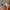 Converse Streetwear Skater Sneakers Pria yellow photo 4