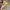 Converse Streetwear Skater Sneakers Pria Yellow