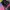 Y2K Biker Leather jacket Pria multicolor photo 4