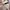 Minimal Luxury Evening dress Wanita multicolor photo 3