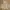 Minimal Luxury Evening dress Wanita multicolor photo 2