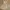 Minimal Luxury Evening Dress Wanita Multicolor