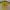 Vintage Jersey Pria yellow photo 2