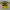 Vintage Jersey Pria yellow photo 1