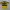 Vintage Jersey Pria Yellow