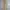 COSTUME O'CLOCK Minimalist Casual Casual Pants Pria Cream Tan