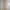 COSTUME O'CLOCK Minimalist Casual Casual Pants Pria Cream Tan
