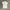Casual T-shirt Wanita white photo 1