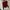 Coquette Blouse Wanita burgundy photo 1