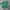 Maison Kitsuné Luxury T-shirt Pria Green