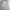 Partimento Vintage Streetwear Track jacket Pria white gray photo 2