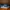 SABA Footwear Minimalist Sneakers Pria White Blue