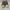Adidas Casual Sneakers Pria white gray photo 2