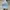 MLB Streetwear Sportswear Hat Wanita Blue