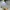 MLB Streetwear Sportswear Hat Wanita blue photo 3