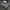 Minimalist Sweatshirt Pria gray photo 2