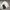 Uniqlo Vintage Casual Casual shirt Pria white photo 1