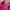 Casual Wanita pink photo 5