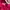 Casual Wanita Pink