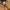 Carhartt Streetwear Casual Denim jacket Pria brown photo 3