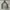 The North Face Casual Varsity jacket Pria multicolor photo 4