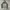 The North Face Casual Varsity Jacket Pria Multicolor