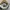 ZARA Futurist Casual Polo shirt Pria multicolor cream photo 2