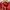 Massimo Dutti Casual Polo shirt Pria red photo 2