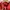 Massimo Dutti Casual Polo Shirt Pria Red